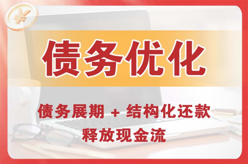 赞皇债务优化